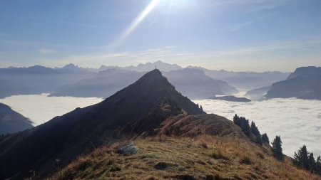 Vue arrière sur le Marcelly, au fond le Mt Blanc 