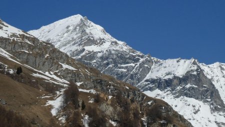 Le Mont Pourri.