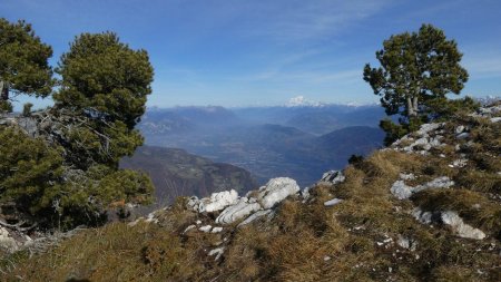 Au loin le Mont Blanc