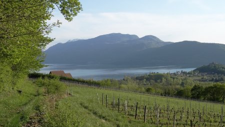 Dernier regard sur le lac du Bourget.