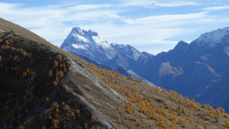 Mont Viso.