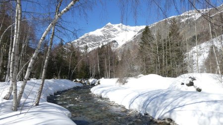 Itinéraire balisé le long du Doron de Champagny