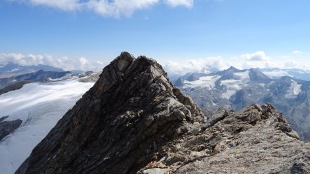 Vue sur la suite du parcours : Arête Sud-est de la Pointe Sud du Couart Dessus, vue depuis la pointe.