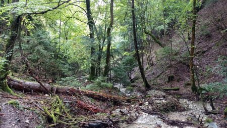 Torrent des Favières