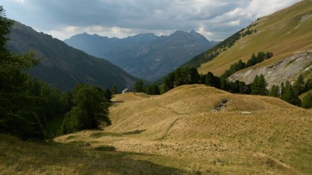 Retour dans le vallon du Fond vers la cabane du Fond