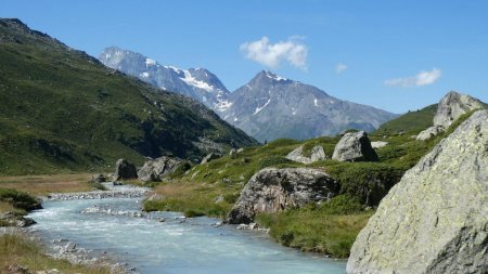 Le Mont Pourri.