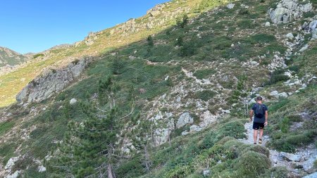 En direction des bergeries de Muraccioli.