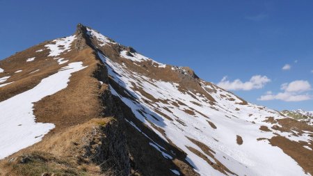 Descente sur le Dos du Pachonier.