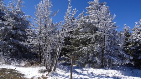 Col de la Croix de Peccata.