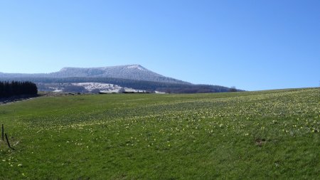 Sur la route.