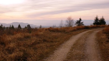 Sur le 1000m-Weg, vue arrière.