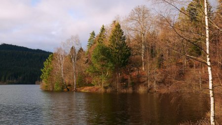 Au bord du Schwarzenbach (lac).