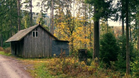 Cabane sur le Harzweg.