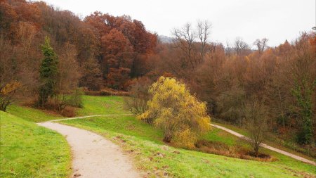 Au bout du parc, la forêt du Battert.