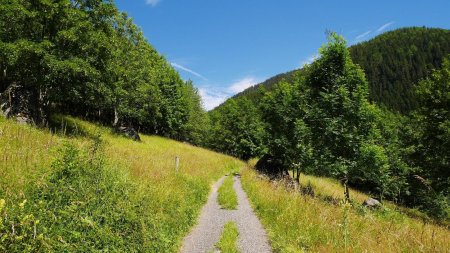 Sur le chemin qui pat à l’est du Miroir, en direction du Crôt.