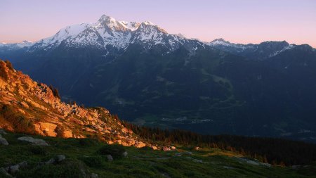 Déjà à l’ombre !