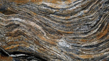 Détail sur la foliation d’un gneiss, en amont des Laghi di Bella Comba.