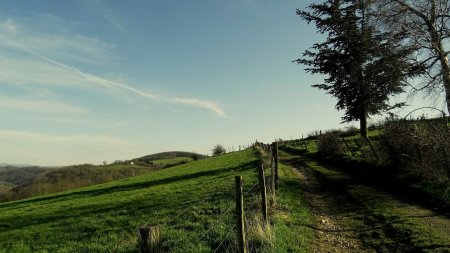 La chapelle sur la colline à gauche et par-delà la vallée de l’Anzieux.