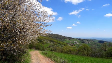 L’APN ne voit pas les Alpes.