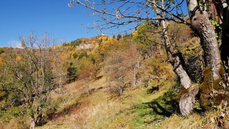 Vue arrière en arrivant au hameau des Jacquets.