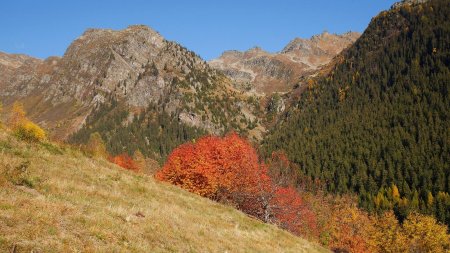 Au fond, le vallon du Piche.