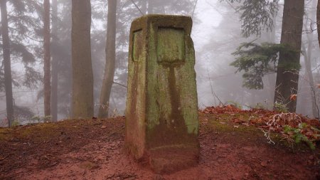 Début de descente à partir de cette borne située au sud du château.