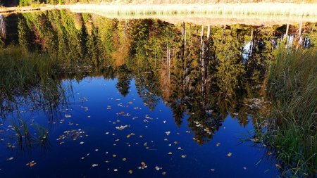 Buhlbachsee.