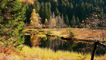 Buhlbachsee, tour du lac.