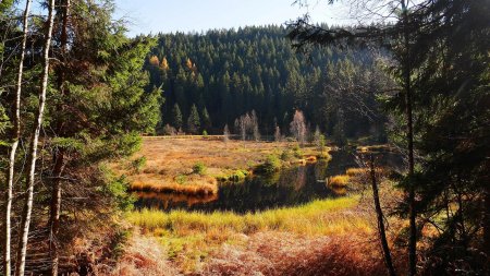 Buhlbachsee, tour du lac.