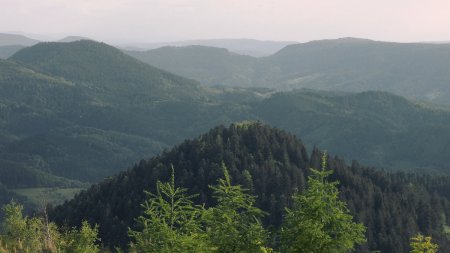 Point de vue sur le Westweg.