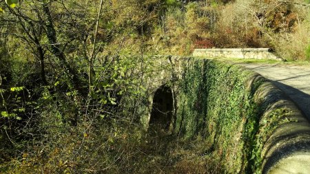 Sur la petite route des gorges de la Cance.