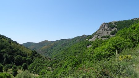 Les prairies du Mazoyer.