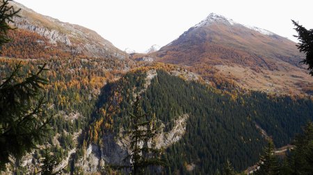 Vallon du Clou, sur le versant opposé.