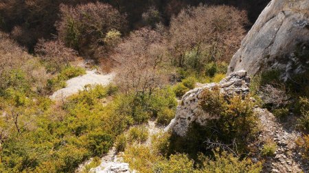 Crête de la combe de Brochon, vue plongeante.