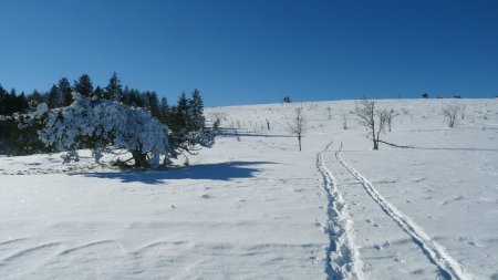 Changement de direction, cap au sud.