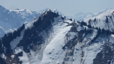 Zoom sur les coulées de la Pointe de la Fougère