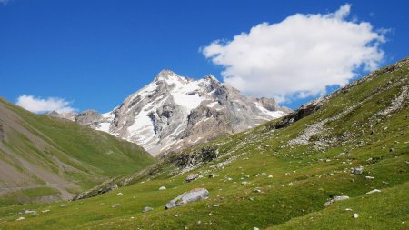 Montée face à la Tsanteleina.