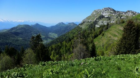 Rochers de La Bade, vallon du Lindar