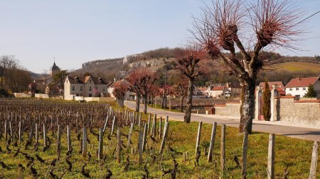 Retour à Chambolle.