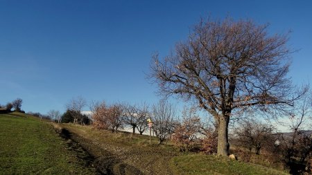 Carrefour de Chazeau.