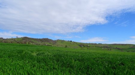 La crête parcourue.