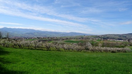 Retour sur Saint-Martin-la-Plaine.