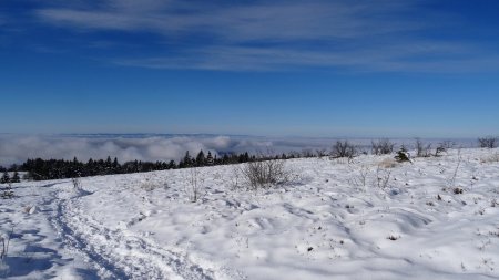 Vers les monts du Forez.