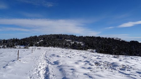 Descente du Crêt de la Perdrix.