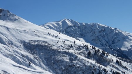 Mont du Fût 