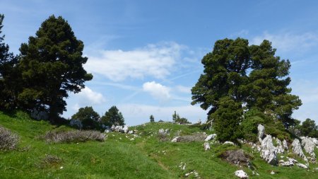 Sur la crête