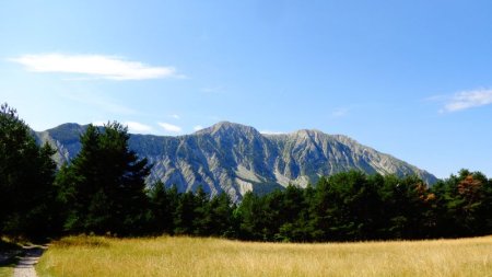 Montagne du Carton