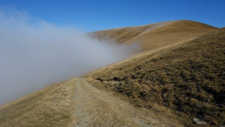 Retour dans la purée de pois