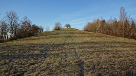 A la Montagne du Mulet.