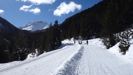 La route enneigée de l’izoard avec la trace ski de fond et la partie piétons 